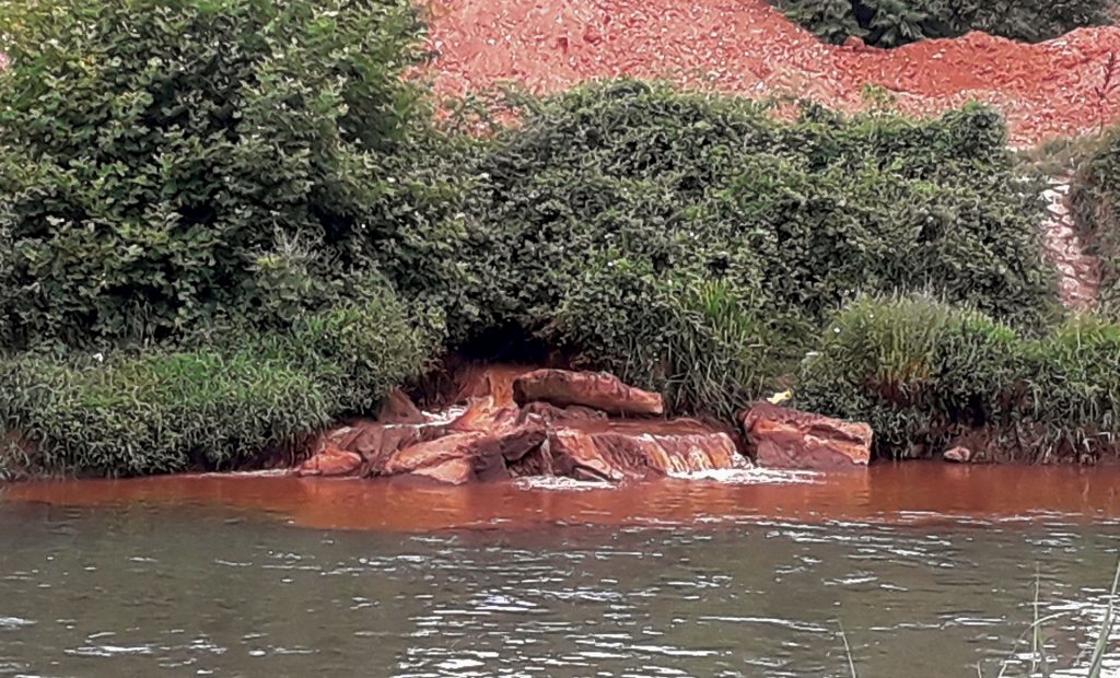 Цели региони немаат инспектор за животна средина, Државниот инспекторат наместо 50, има само 25 вработени
