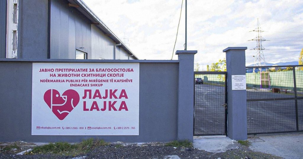 Анима Мунди смета дека разрешувањето на директорката на Лајка е нетранспарентно